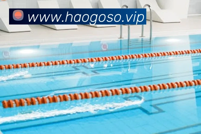 App Interface Preview